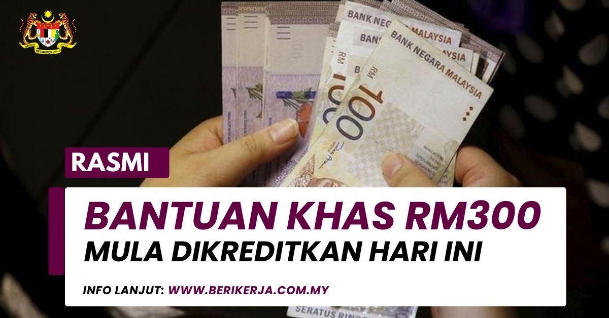 rm300